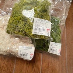 マライカ  ガラスケース6個　あじさい　モス　セット　リングピローにの画像