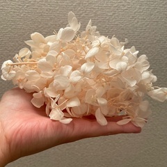 マライカ  ガラスケース6個　あじさい　モス　セット　リングピローにの画像