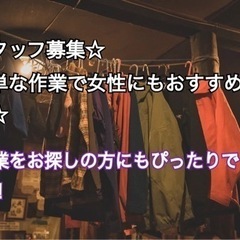 【在宅ワーク】アパレルのネット販売のアイロン掛け.撮影.採寸等の...