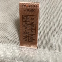 ブライダルインナー　D65 トリンプ，アモスタイルの画像
