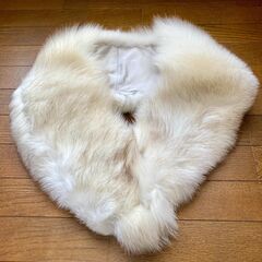 サガフォックスの中古が安い！激安で譲ります・無料であげます