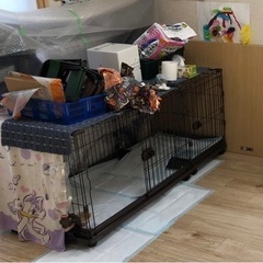 12/3まで　犬用ケージ(ジャンク品)