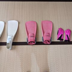 フィンとグローブ