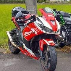 早い者勝ち！最終値下げ！ヤマハ YZF-R25　RG10J 25...