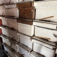 沖縄県の巣箱の中古が安い！激安で譲ります・無料であげます