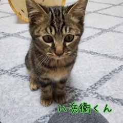 仲良し三兄弟🫶🏻💙💙💙