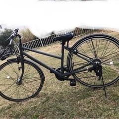 27インチカゴ付きMARKROSA 7S  ダークアッシュの画像