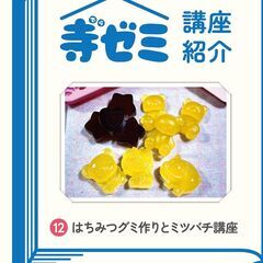 かさでらBorn祭（ぼーんさい）寺ゼミ「12 はちみつグミ作りと...