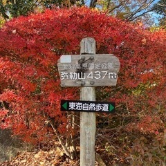 弥勒山を一緒に登っていただける方大大募集！(説明文必読)