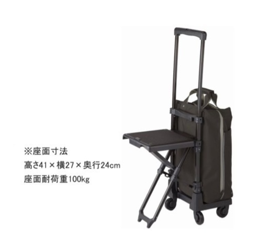 スワニー座面付きキャリーバッグ 買い物カート ショッピングカート キャリーケース