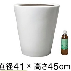 植木鉢 大型 10号 ホワイトの画像