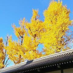 断捨離、アラカルト　無料