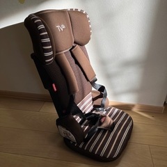 ジュニアシート、バギーかー