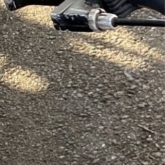 Wynn自転車14インチ　使用感あり中古　ストライダー付き！の画像