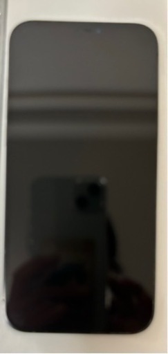 iPhone12 Pro Max 128GB?