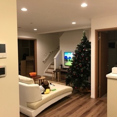 クリスマスツリーの画像