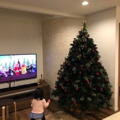 クリスマスツリー