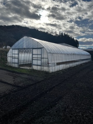 商談中  大型ビニールハウス価格要相談