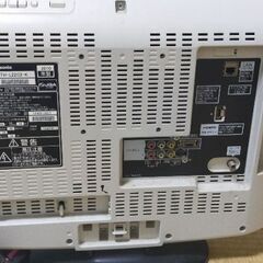 無料のティビの画像