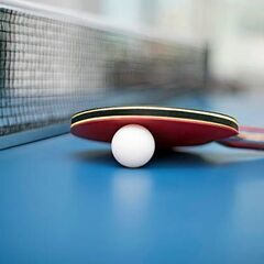 卓球🏓