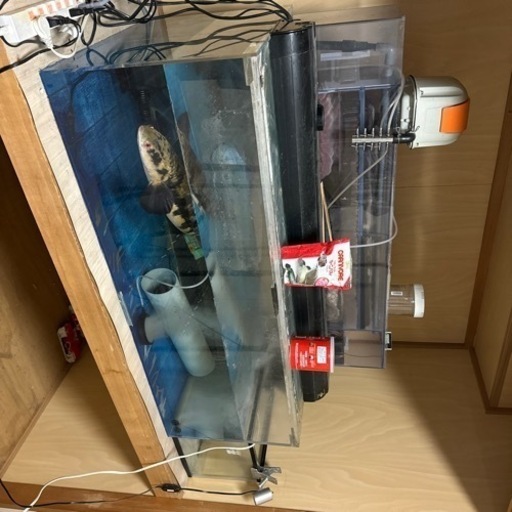 120センチ水槽　アクリル　10mm厚　熱帯魚