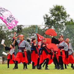 備後男組メンバー募集(よさこい、ダンス、踊り) - メンバー募集