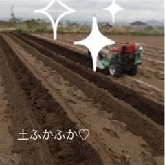 ⭐︎ブランド自然薯　お問い合わせください　正月などに　郵送のみ