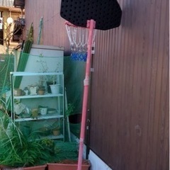 バスケットボールカゴの画像