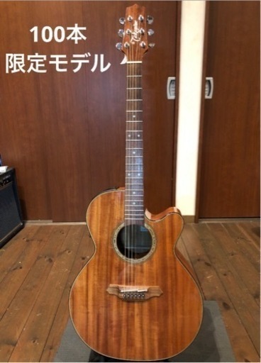 エレアコ(PTU500SP-K2 )  /   タカミネ