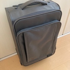 キャリーバッグの画像