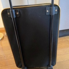 CECIL McBEEキャリーバッグの画像