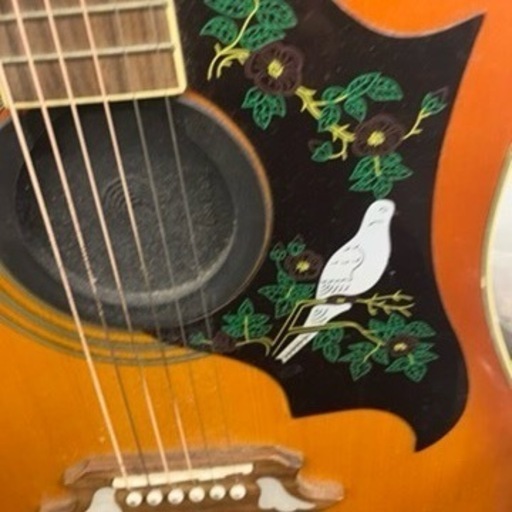 1202-005 Epiphone Dove PRO ギター
