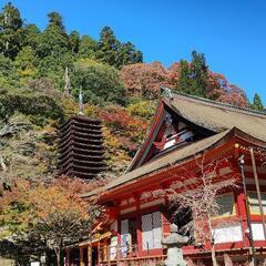 鎌倉.京都.奈良.神社仏閣 - メンバー募集