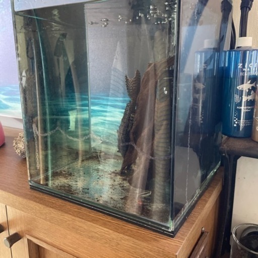 熱帯魚水槽（濾過装置付きセット）2台