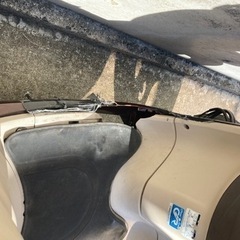 コケてますが、の画像