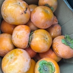 かつらぎ町の富有柿　1個30円、小さいのは2個30円
