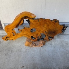 切り株　置物　レトロ　モダン　和風　木　樹の画像