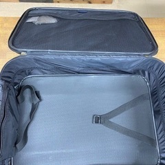 キャリーバッグ　布製の画像