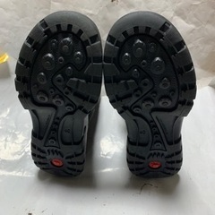 エレファント、スノーブーツの画像