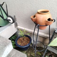 植木鉢　各種の画像