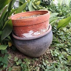 植木鉢　各種の画像