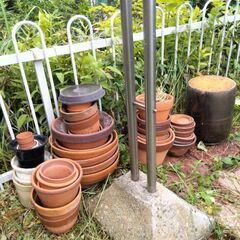 植木鉢　各種の画像
