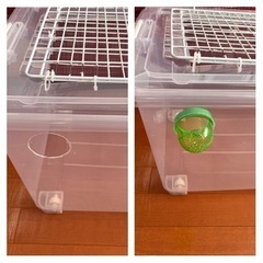 ハムスターのお家　手作りケージの画像