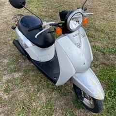 ホンダ　トゥデイ　原付　50ccの画像