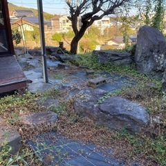 庭石　あげます　池の石の画像