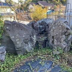庭石　あげます　池の石の画像