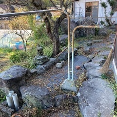 庭石　あげます　池の石