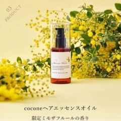 【最終価格】cocone ココネ　クレイクリームミモザ　限定セット　3点　シャンプー　ヘアマスク　ヘアエッセンスオイルの画像