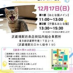 むさしの地域猫の会　猫ちゃんの譲渡会です