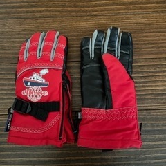 スキーグローブの画像